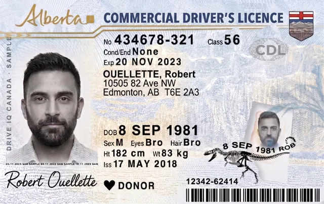 Sample Alberta commercial driver's licence