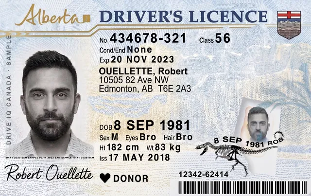 Sample Alberta driver's licence