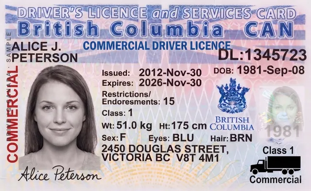 Sample British Columbia commercial driver's licence