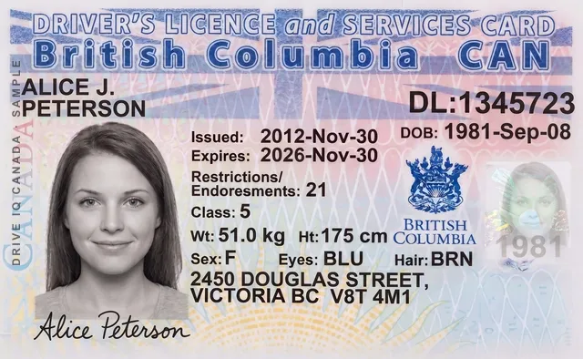 Sample British Columbia driver's licence