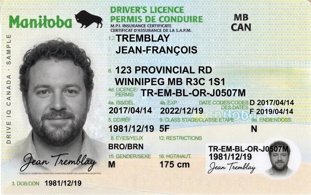 Sample Manitoba driver's licence