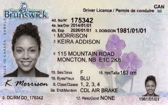 Sample New Brunswick commercial driver's licence
