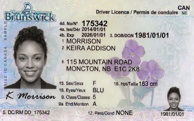 Sample New Brunswick driver's licence