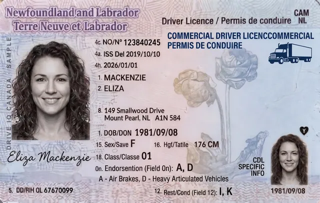 Sample Newfoundland and Labrador commercial driver's licence