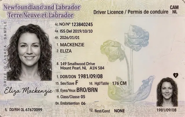Sample Newfoundland and Labrador driver's licence