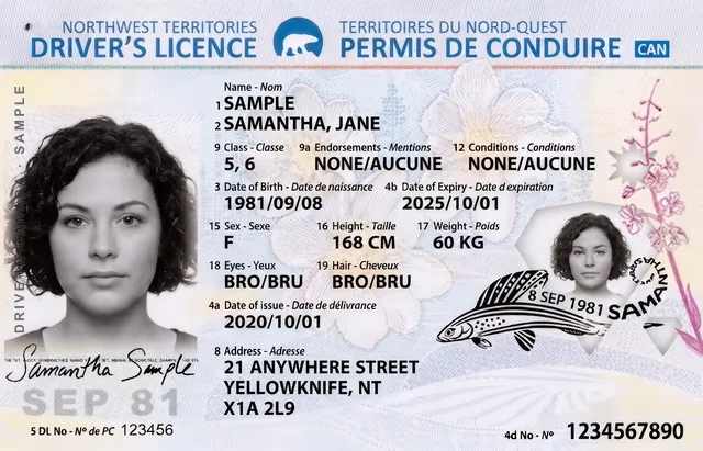 Sample Northwest Territories driver's licence