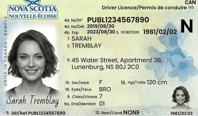 Sample Nova Scotia driver's licence