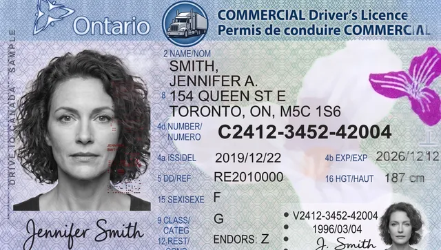 Sample Ontario commercial driver's licence