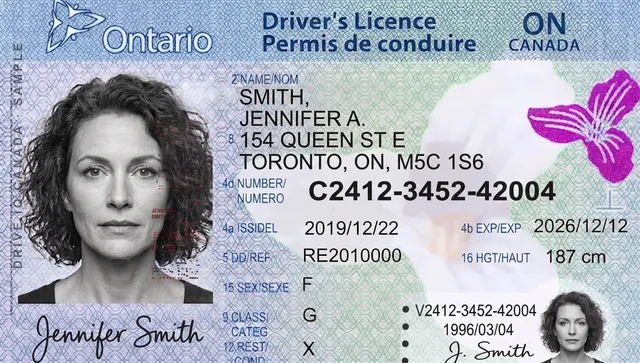 Sample Ontario driver's licence