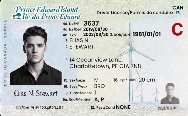 Sample Prince Edward Island commercial driver's licence