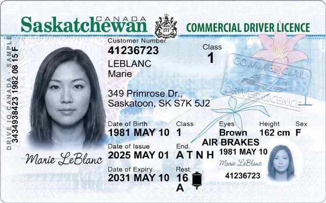 Sample Saskatchewan commercial driver's licence