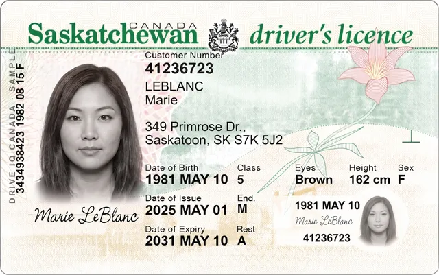 Sample Saskatchewan driver's licence