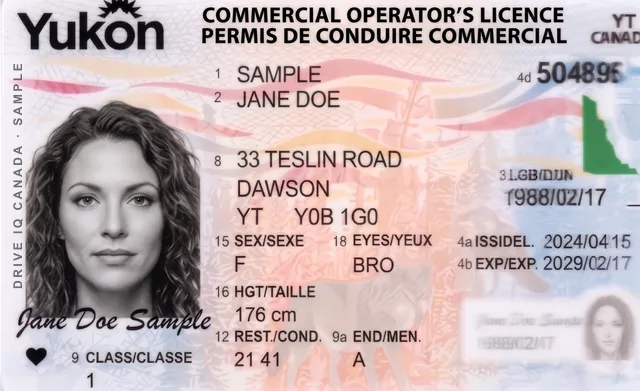 Sample Yukon commercial driver's licence