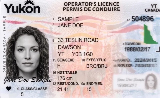 Sample Yukon driver's licence