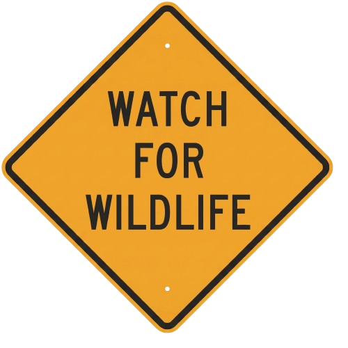 Surveillez la faune road sign